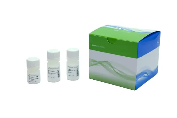 Pharmaceutical Product Photography - photo 8 of 13 - pharmaceutical product photographer South Africa | Pie in the Sky Productions